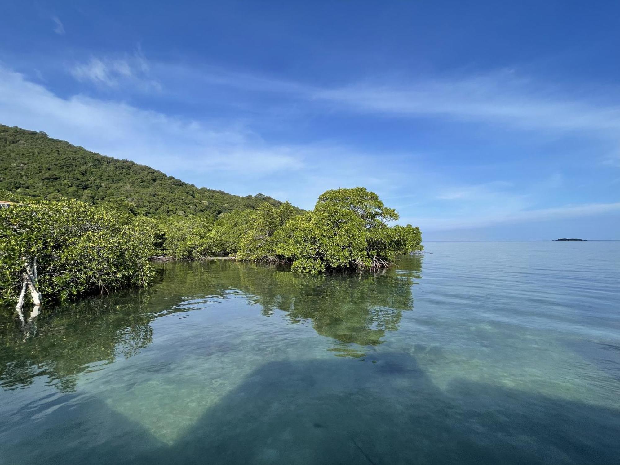 Floating Paradise Ξενοδοχείο Karimunjawa Εξωτερικό φωτογραφία